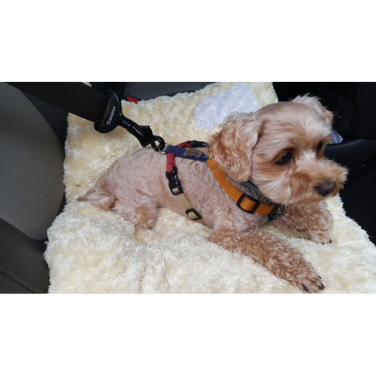 Secure Your Journey: The Must-Have Dog Seat Belt for Pet Owners