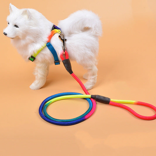 Unleash Fun and Safety with Our Colorful Nylon Round Hand Holding Dog Rope