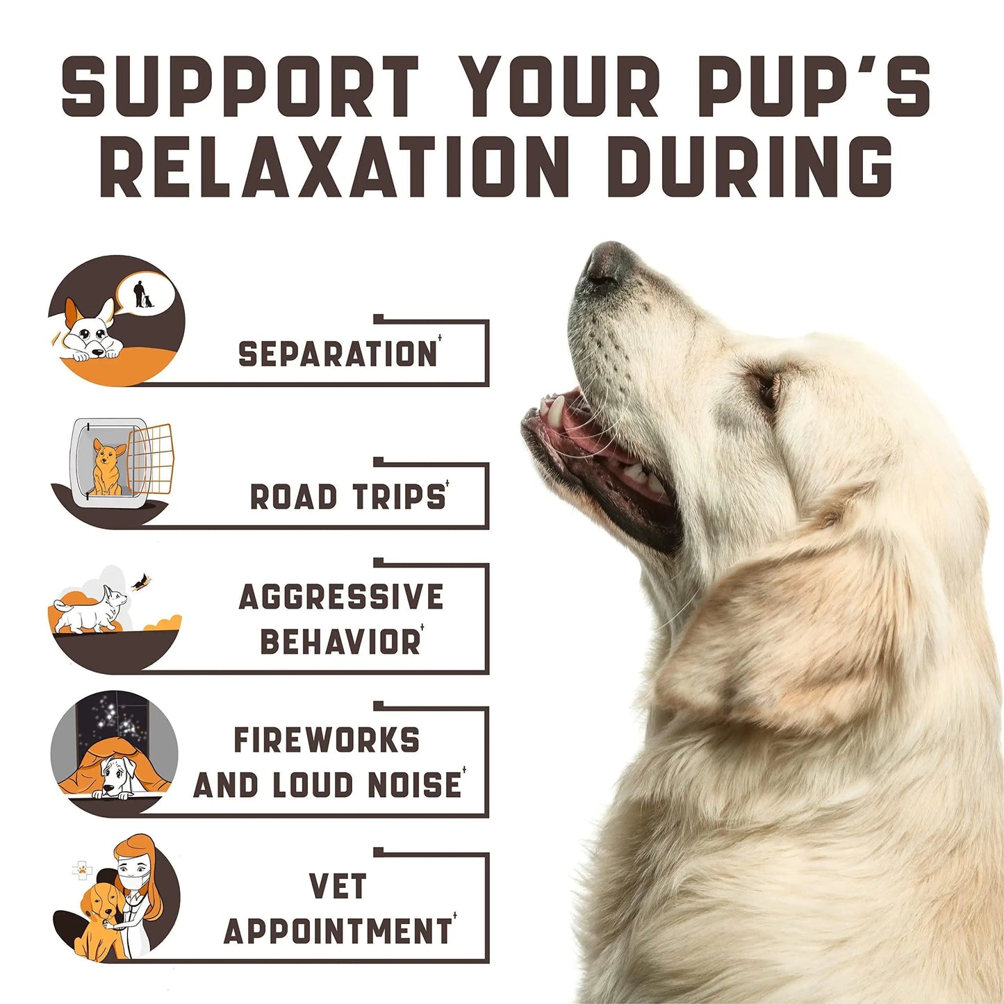 Natural Calming Chews for Dogs with Hemp Oil and Valerian Root Aid during