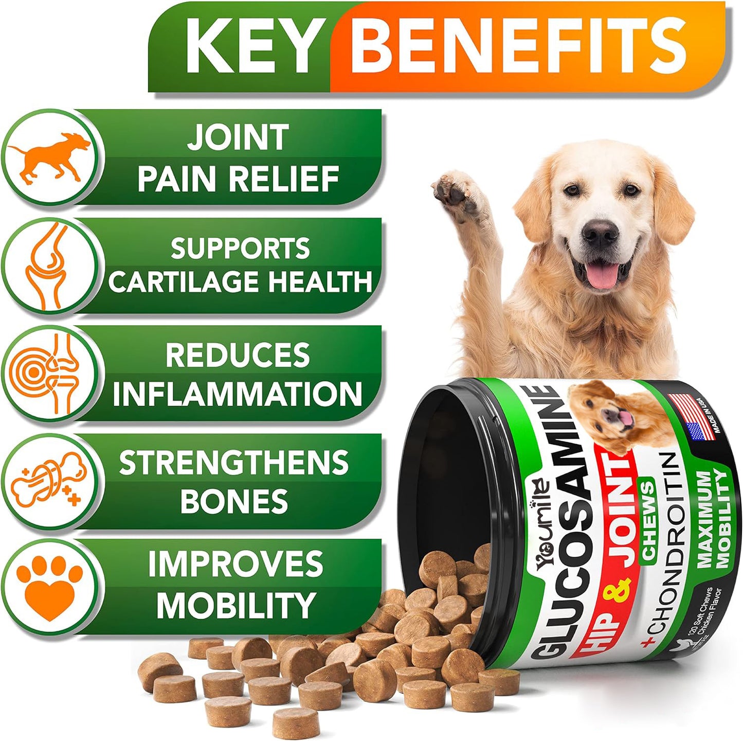 Pet Hip & Joint Supplement Chondroitin