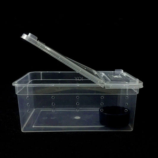 Plastic transparent reptile feeding box