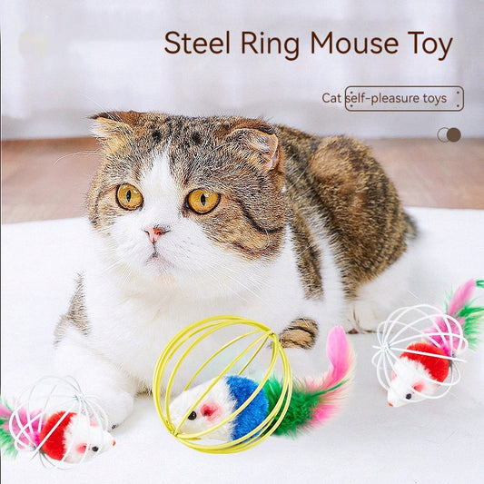 Cat Self-Hi Toy Cage Mouse Painted Lacquer Wire Nibbling Toy