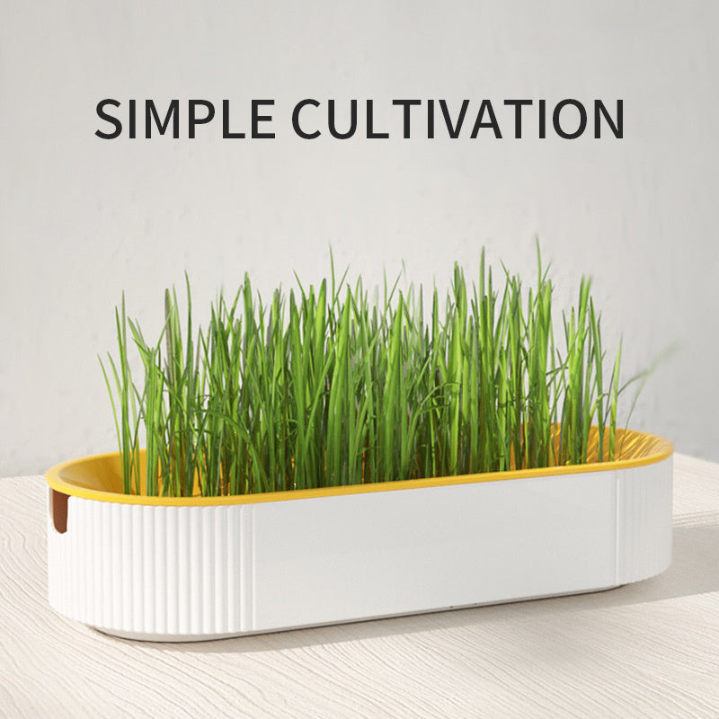 Hydroponic Cat Grass Box Plastic Tray Cat Grass Growing Kit Cat Grass Planter Hydroponic Cat Grass Box Cat Grass Sprouter Tray Interactive Cat Toy Window Planter Soilless For Pet Cat Plastic Plant Pot