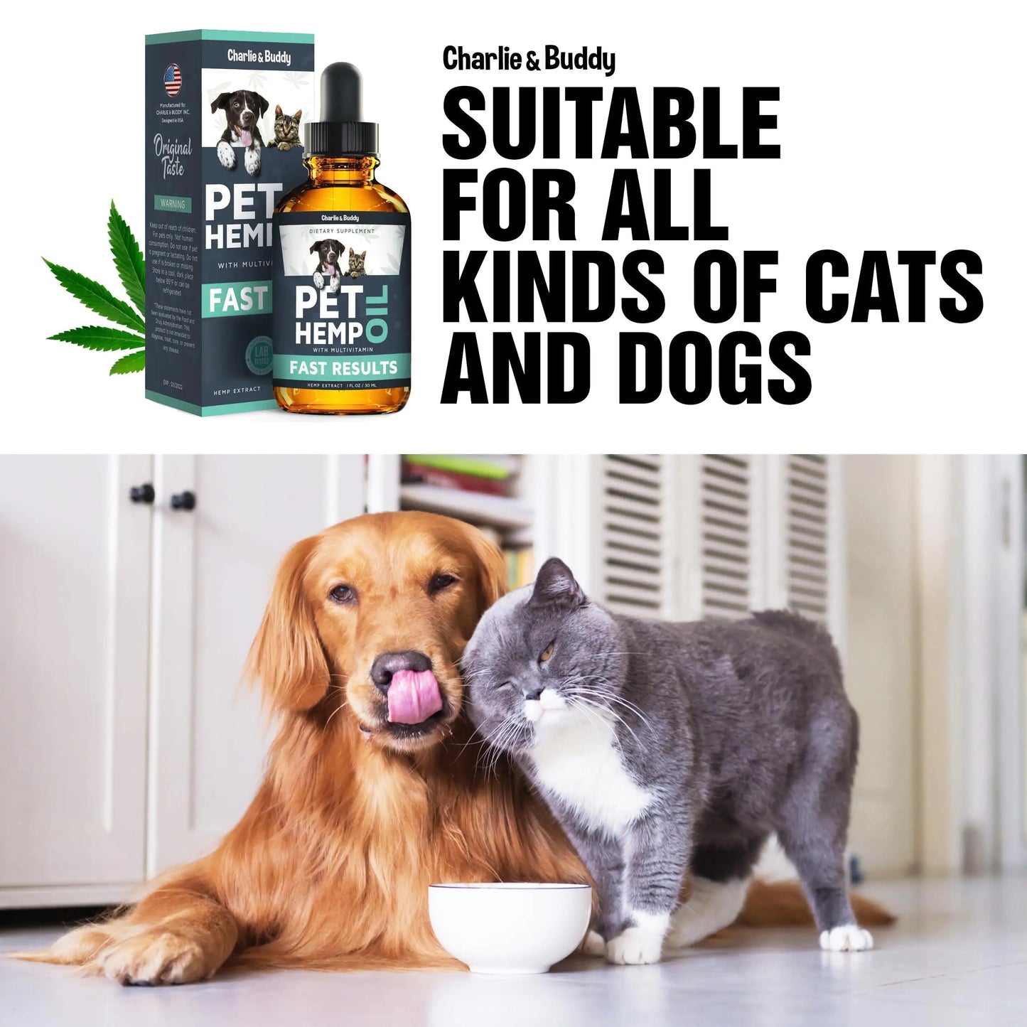 Hеmp Оil Dogs Cats   Helps Pets with Аnxiеty Pаin Strеss Slееp Аrthritis