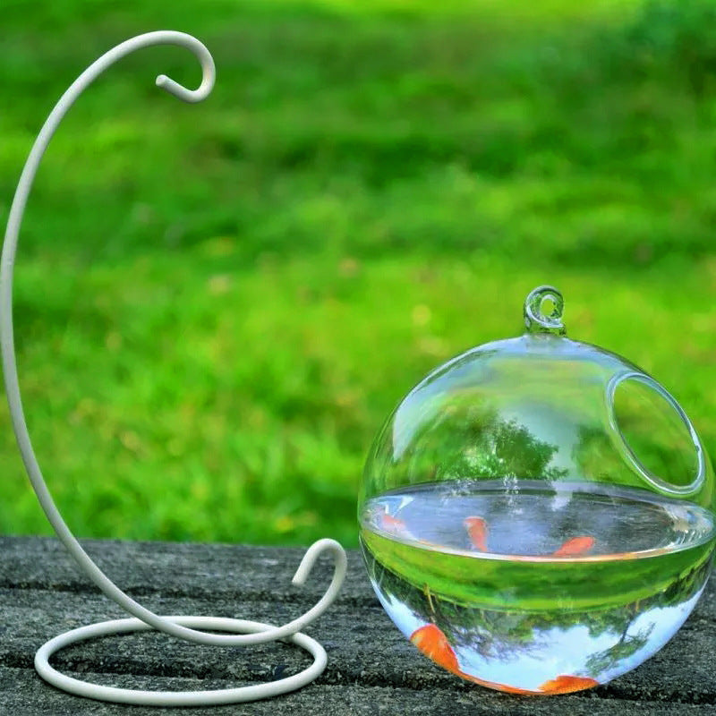 Hanging Glass Vase Fish Tank