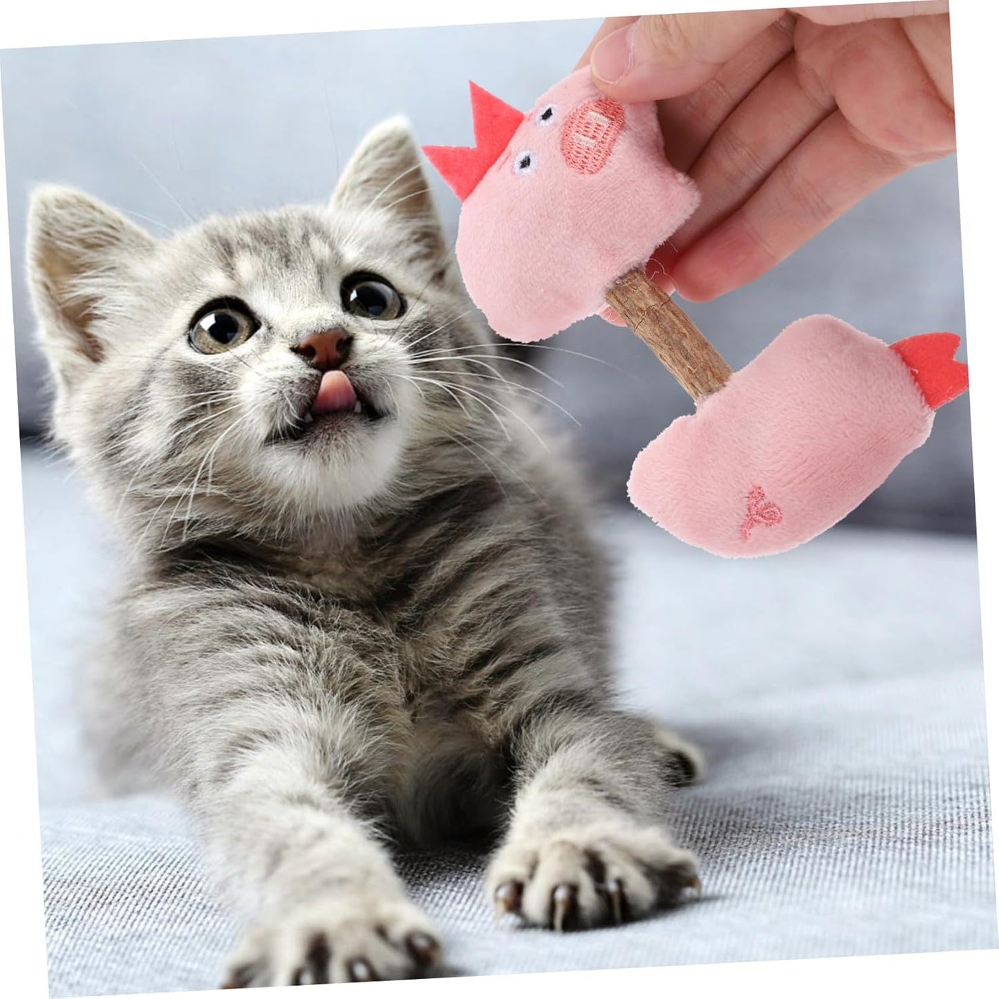 Cat Toy Kitten Toys Teeth Cleaning Toys Silvervine Sticks Cat Silvervine Stick Chew Sticks For Cats Cat Interaction Toys Kitten Plaything Cat Teaser Polygonum Wood The Cat