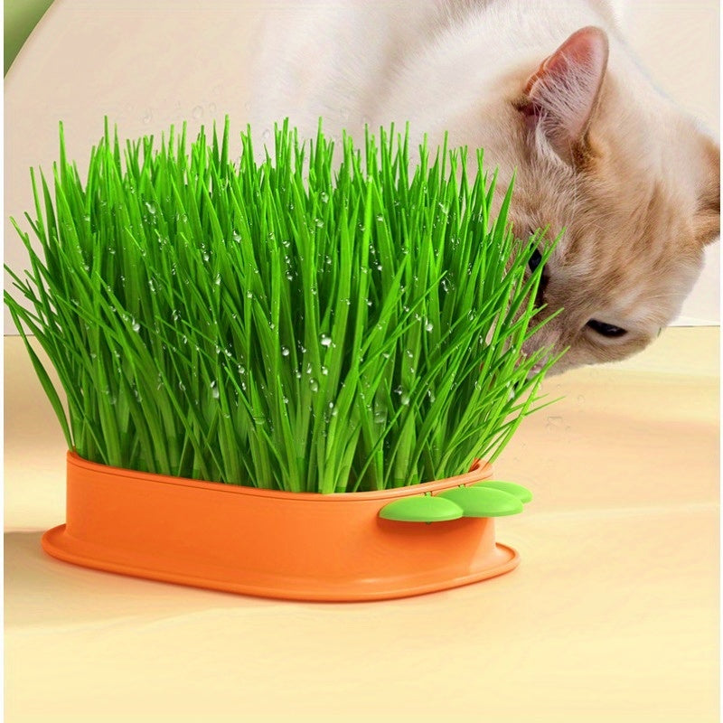 Carrot Design Cat Grass Growth Kit Grass Planting Box Plastic Pet Grass Tray Pet Supplies Including Seeds