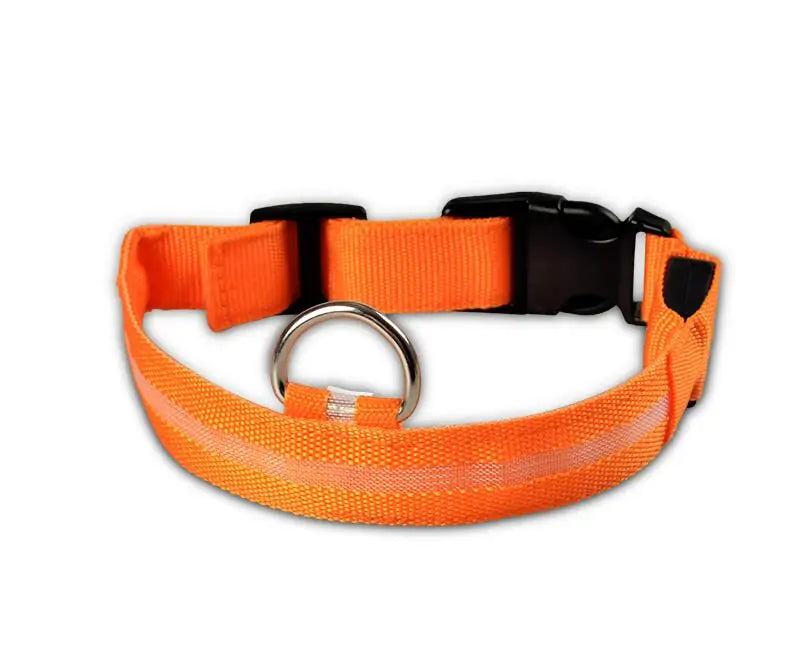 LED Pet Dog Collar for Night Safety, Nylon Leash with Glow-in-the-Dark Feature