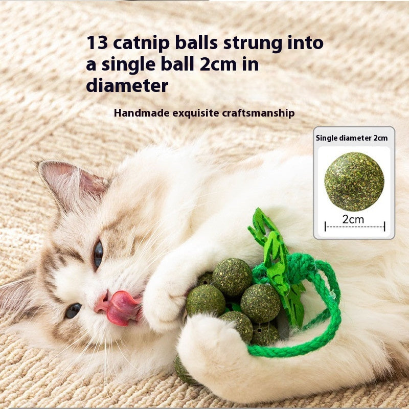 Mint Grape Cluster Teaser Molar Cat Toy