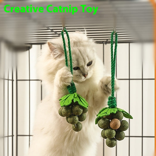 Mint Grape Cluster Teaser Molar Cat Toy