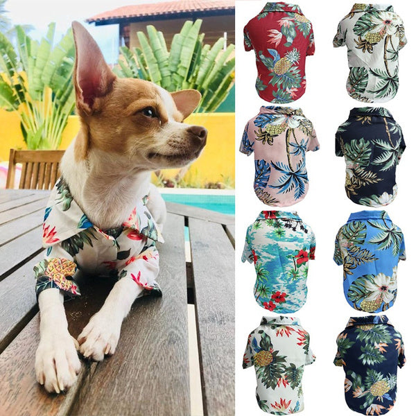 Dog Spring And Summer Thin Shirt Corgi Blue Cat Clothes