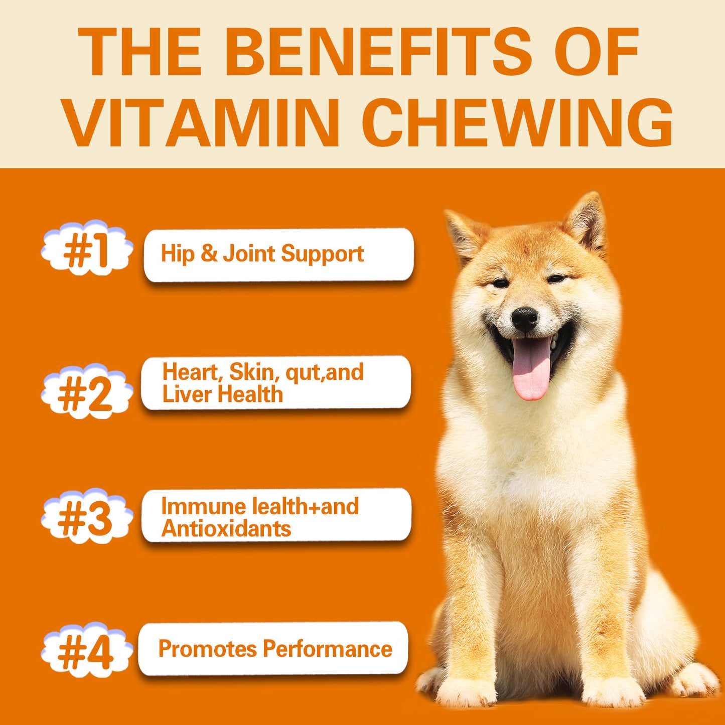 Pet Vitamin Multifunctional Health Care Products Dog