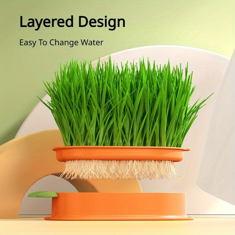 Carrot Design Cat Grass Growth Kit Grass Planting Box Plastic Pet Grass Tray Pet Supplies Including Seeds